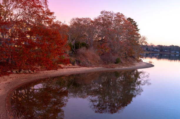 осенние пейзажи новой англии на краю пышные воды - waters edge lake beach tree стоковые фото и изображения