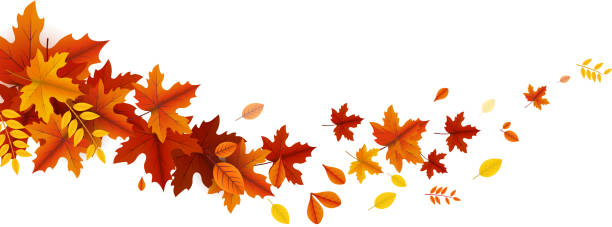 illustrazioni stock, clip art, cartoni animati e icone di tendenza di onda foglie autunnali - autunno