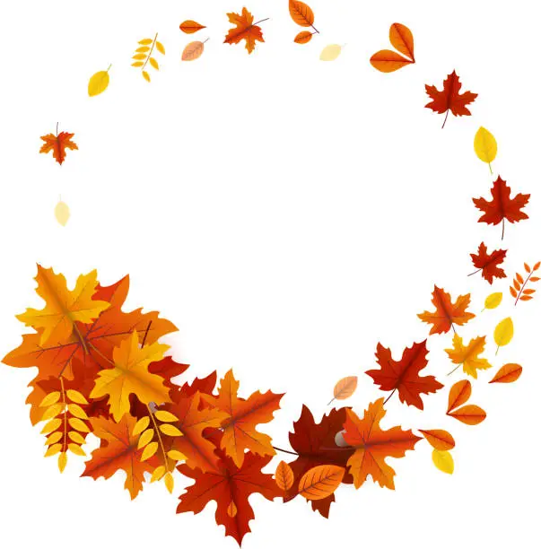 Vector illustration of autumn leaves circle