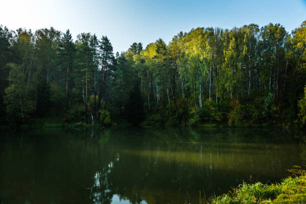 Beautiful calm lake and dark emerald forest ashore