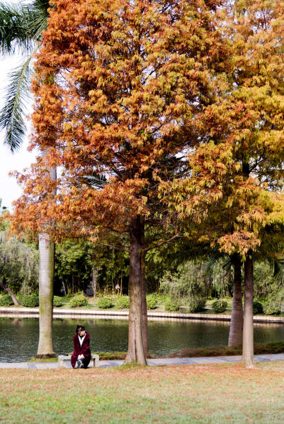 Woman sitting in autumn park.