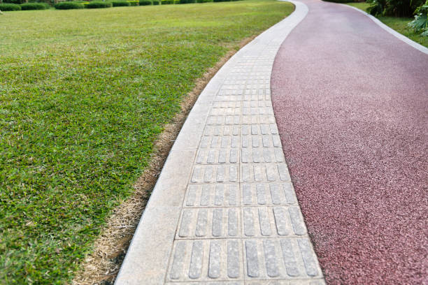 istock Footpath for people and blindness in the park 1186055934
