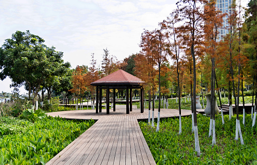 Park with gazebo in autumn.