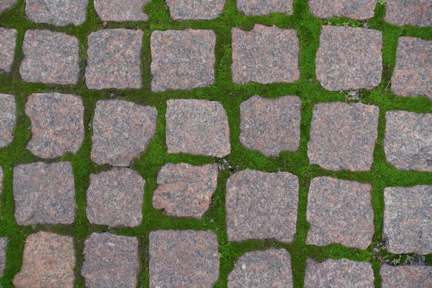 istock Square granite pavement with green moss in  joints from above 1186061614