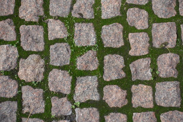 Unpolished pink granite pavement with green moss in  joints from above