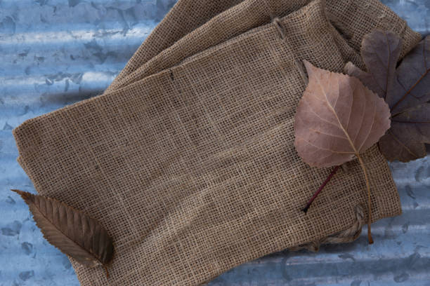 istock Burlap and multiple leaves resting on a sheet of metal. 1186061911