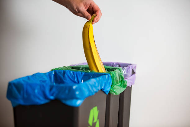 istock Hand putting banana peel in recycling bio bin. 1186063686