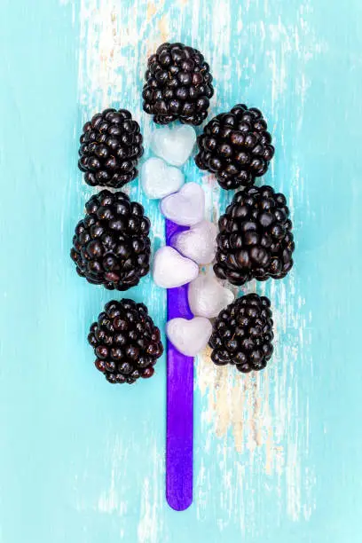 concept of making a homemade slush or water-ice with ice cubes and blackberries