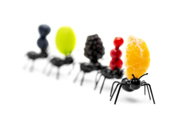 Ant figures shipping grocery, concept logistic, trading and global export and import, isolated on white