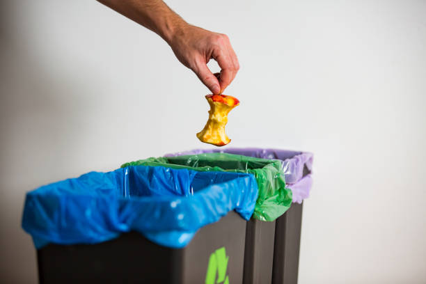 istock Hand putting apple stub in recycling bio bin. 1186063798