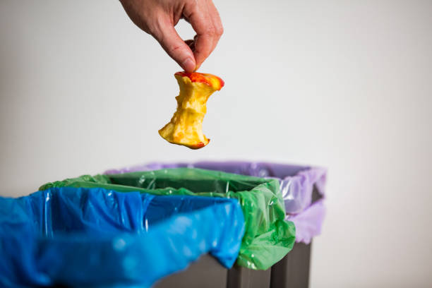Hand putting apple stub in recycling bio bin.