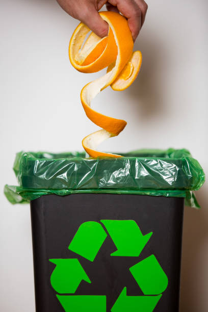 istock Hand putting orange peel in recycling bio bin. 1186066695