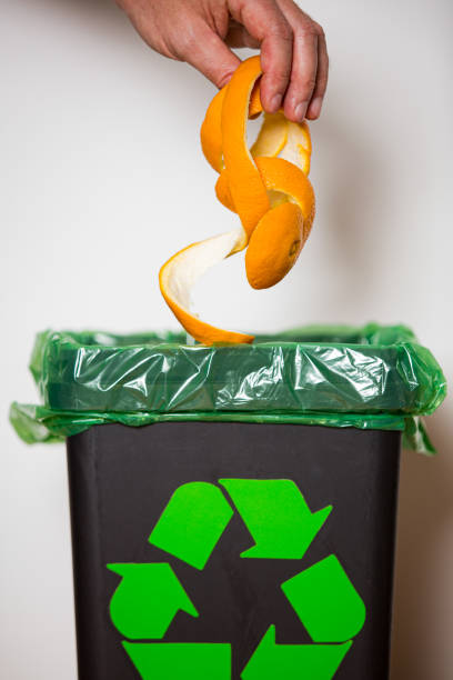 istock Hand putting orange peel in recycling bio bin. 1186066766