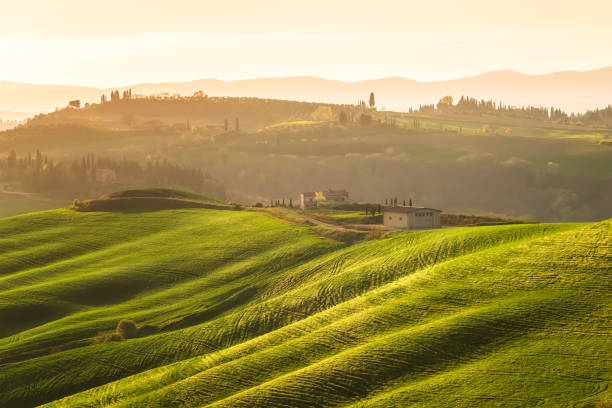 istock Rolling Tuscany hills in the golden hour 1186067115