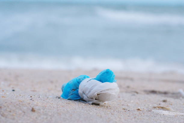istock Plastic Pollutions and garbages on the beach, Rayong beach, Thailandv 1186070822