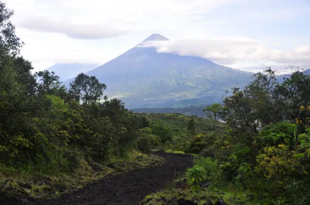 Photo of Hiking path through green trees on active volcano Pacaya close to Antigua in Guatemala, Central America.