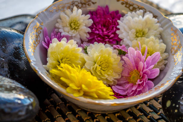 istock Black stones and flowers 1186075287