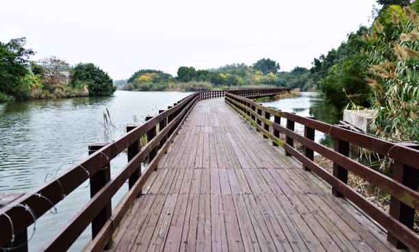 Wooden bridge over the lake.