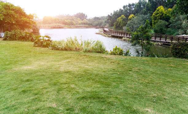Wooden bridge over the lake.