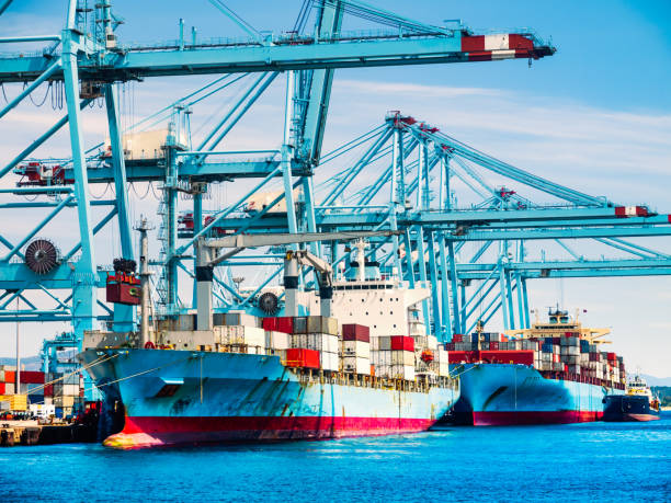 istock Container ship in the habour 1186077854