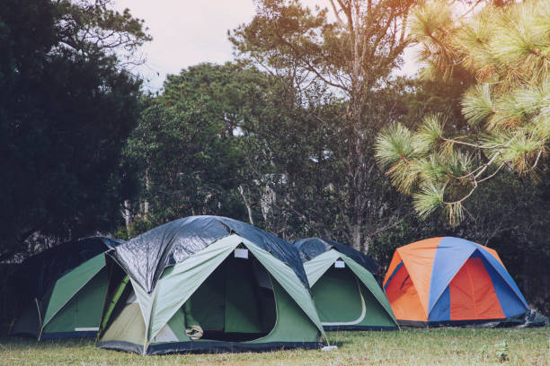 istock Tourists resting at the camp in the forest 1186082078
