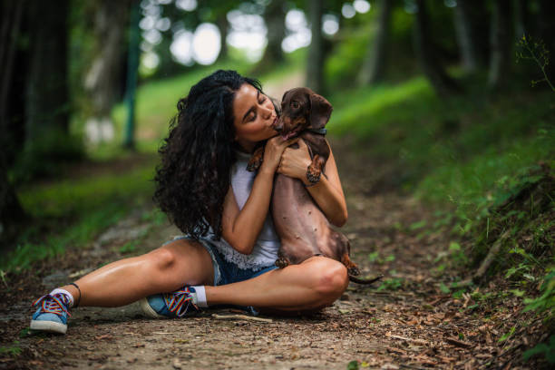 mujer bonita dando un beso a su perro - pet toy dachshund dog toy fotografías e imágenes de stock