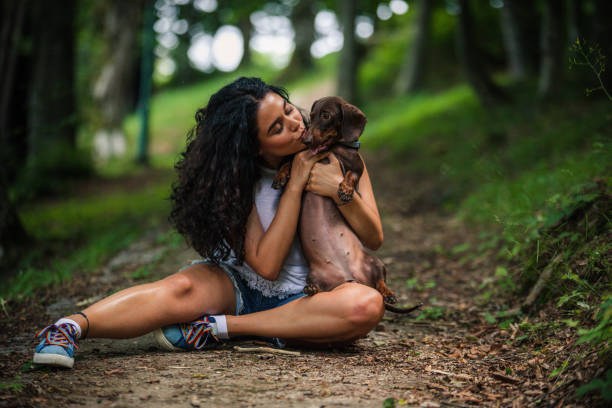 красивая женщина, которая целует свою собаку - pet toy dachshund dog toy стоковые фото и изображения