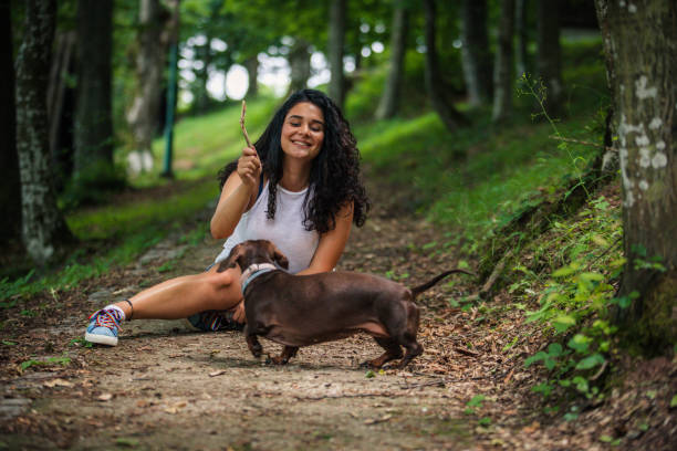 mujer jugando con su perro - pet toy dachshund dog toy fotografías e imágenes de stock