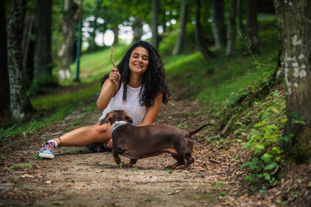 그녀의 개와 함께 노는 여자 - pet toy dachshund dog toy 뉴스 사진 이미지