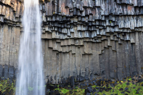 istock Svartifoss Waterfall in Iceland 1186085095