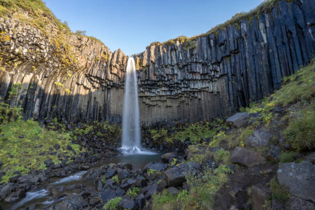 istock Svartifoss Waterfall in Iceland 1186085645