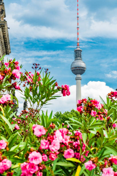 istock Berlin TV tower - Fernsehturm 1186085705