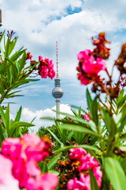istock Berlin TV tower - Fernsehturm 1186085706