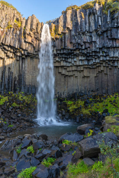 istock Svartifoss Waterfall in Iceland 1186086366