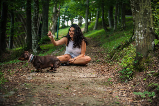 красивая женщина, играющая с собакой на природе - pet toy dachshund dog toy стоковые фото и изображения