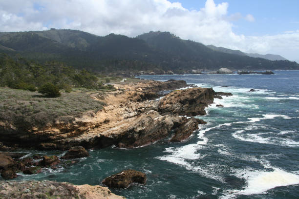 istock Point Lobos State Reserve, California, USA 1186089625