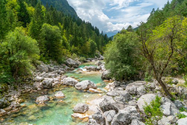 istock View of river, Soca river, Slovenia 1186089655