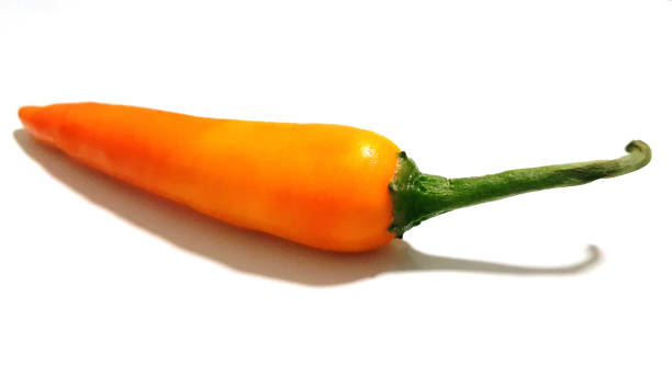 istock Orange chili on white background 1186091108