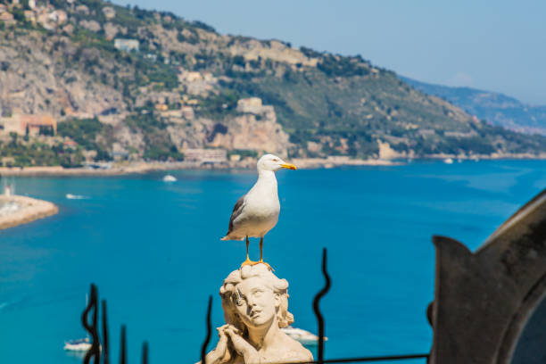 istock A view in Menton in France 1186092529