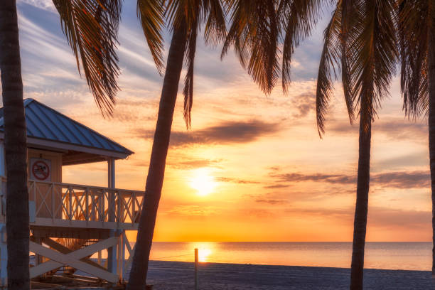 istock Palm trees at sunset on tropical beach 1186094615