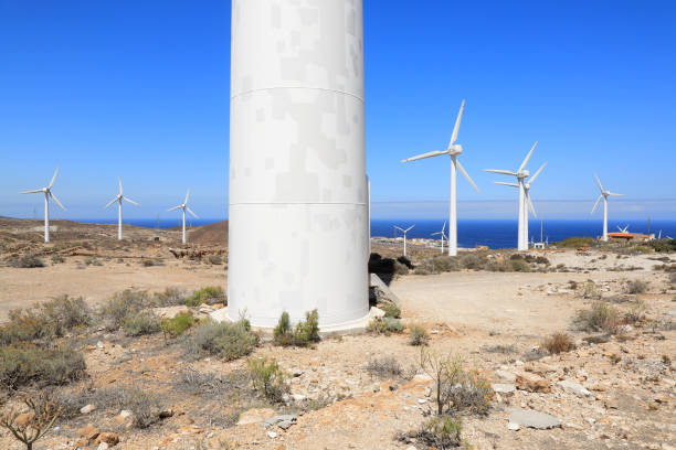 turbinas eólicas - image alternative energy canary islands color image - fotografias e filmes do acervo