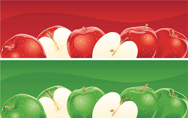 six apples vector art illustration