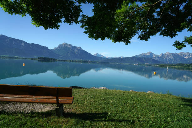 istock Benches and chairs at tables invite you to relax and unwind 1186097633