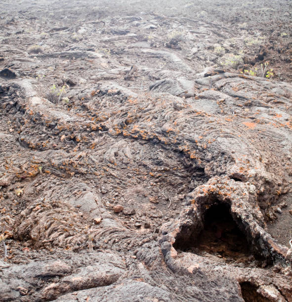 istock Volcanic landscape, El Hierro, Canary islands, Spain 1186097993