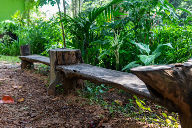 istock A wooden bench in the forest 1186100553