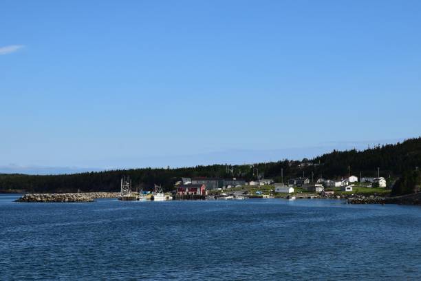 istock town of Eastern Corner, NL 1186101419