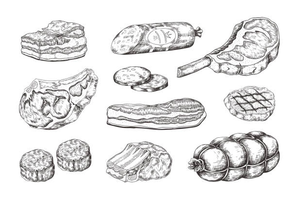 illustrations, cliparts, dessins animés et icônes de steak de viande. croquis de nourriture de cru avec des produits de boucherie, côtes d'agneau de bacon de jambon de porc et beefsteak. menu de gril dessiné à la main de vecteur - steak meat raw beef