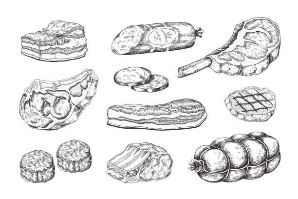 illustrazioni stock, clip art, cartoni animati e icone di tendenza di bistecca di carne. schizzo gastronomico vintage con prodotti da macelleria, costolette di agnello al prosciutto di maiale e bistecca. menu griglia disegnata a mano vettoriale - steak meat raw beef