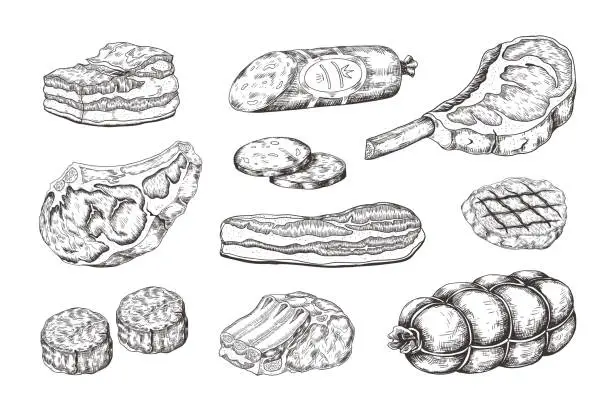 Vector illustration of Meat steak. Vintage food sketch with butchery products, pork ham bacon lamb ribs and beefsteak. Vector hand drawn grill menu