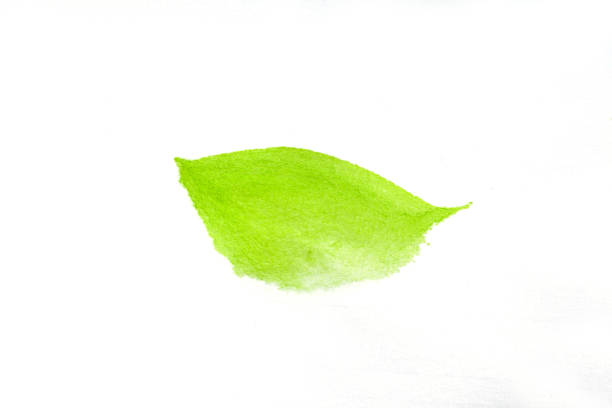 istock Green brush touch on rice paper 1186102032